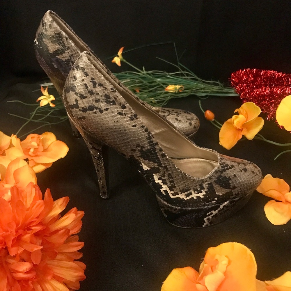 Qupid Platforms - image 2